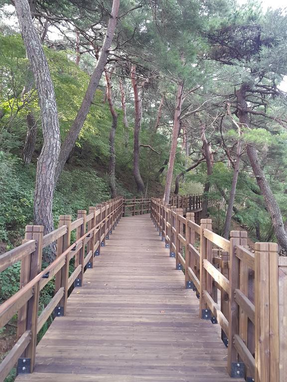 Pyeongchang River House Esterno foto