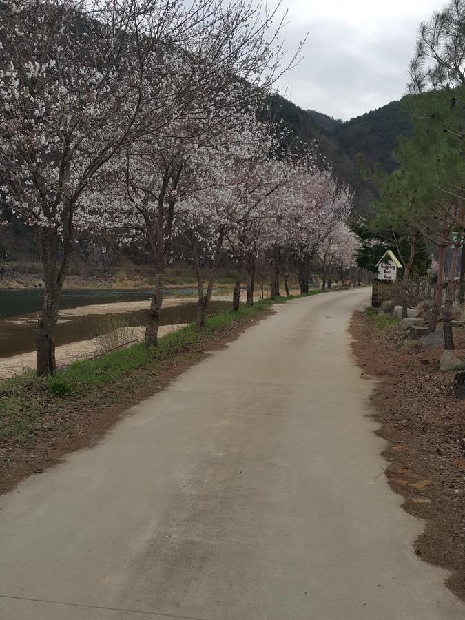 Pyeongchang River House Esterno foto